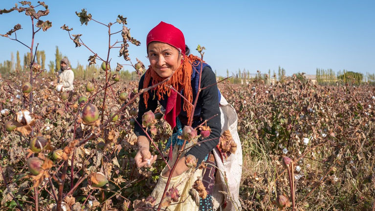 Cotton female harvester in Uzbekistan - photo ILO